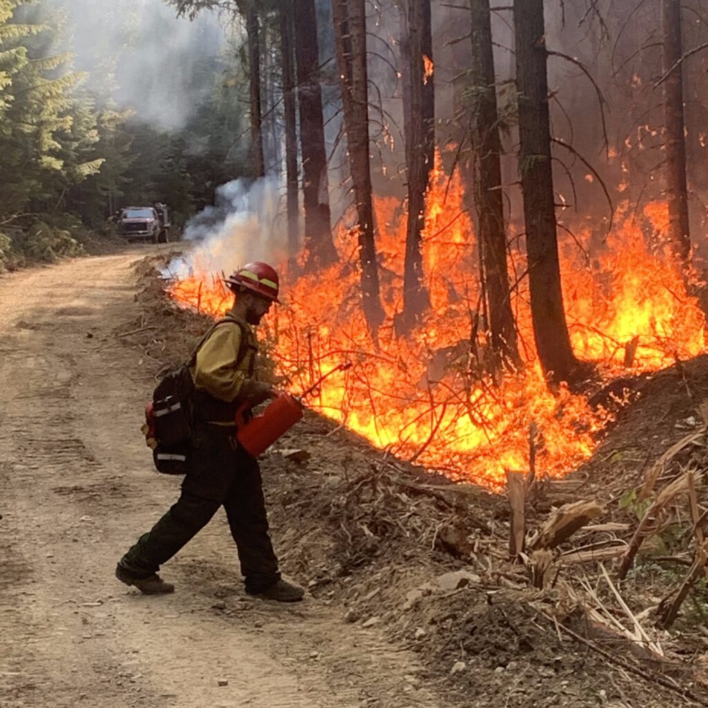 Firefighter on dirt road lighting a fire