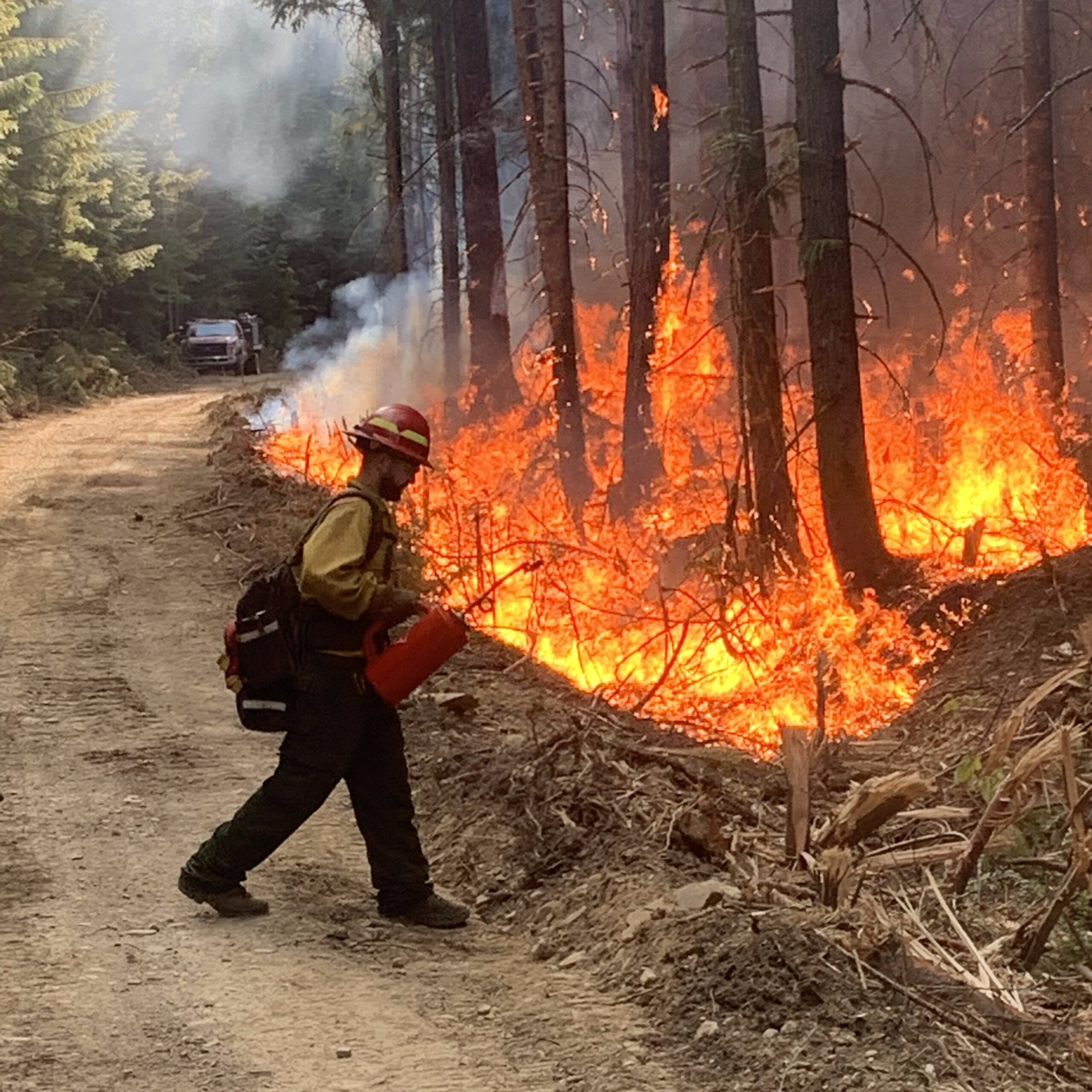 FireantLLC_Website_Image_Cropped-7 Firefighter on dirt road lighting a fire